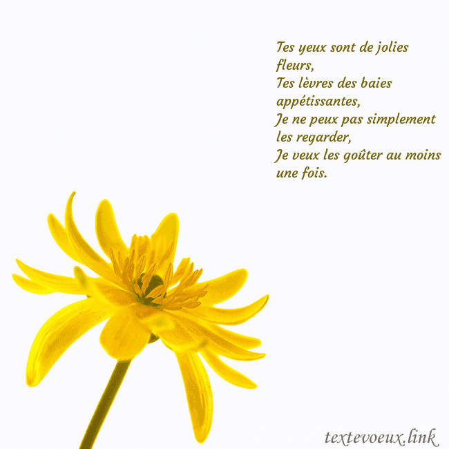 Carte de voeux avec fleur jaune Tes yeux sont de jolies fleurs,
Tes lèvres des bai Carte de voeux avec fleur jaune