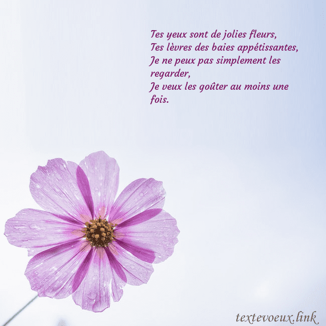 Carte électronique avec fleur violette Tes yeux sont de jolies fleurs,
Tes lèvres des bai Carte électronique avec fleur violette