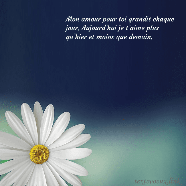 Carte postale avec une grande marguerite