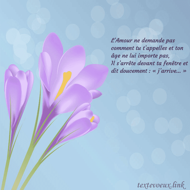 Cartes de vœux avec crocus L’Amour ne demande pas comment tu t’appelles et to Cartes de vœux avec crocus