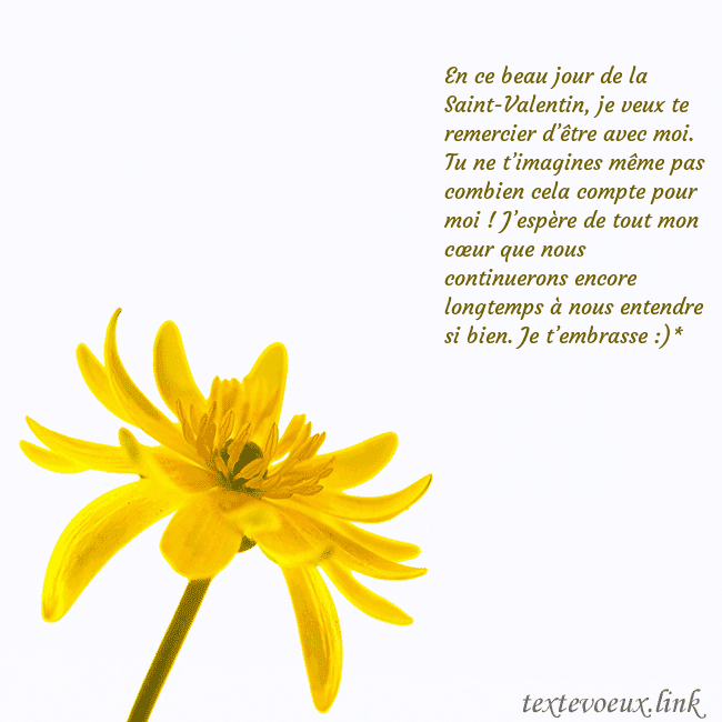 Carte de voeux avec fleur jaune En ce beau jour de la Saint-Valentin, je veux te r Carte de voeux avec fleur jaune