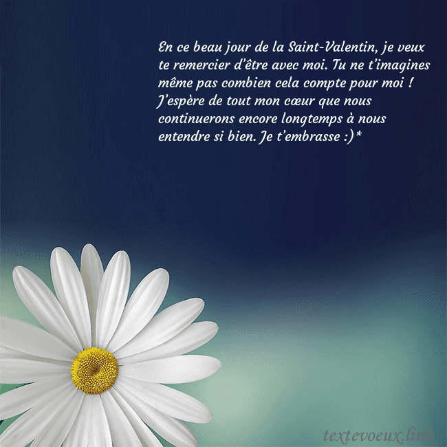 Carte postale avec une grande marguerite En ce beau jour de la Saint-Valentin, je veux te r Carte postale avec une grande marguerite