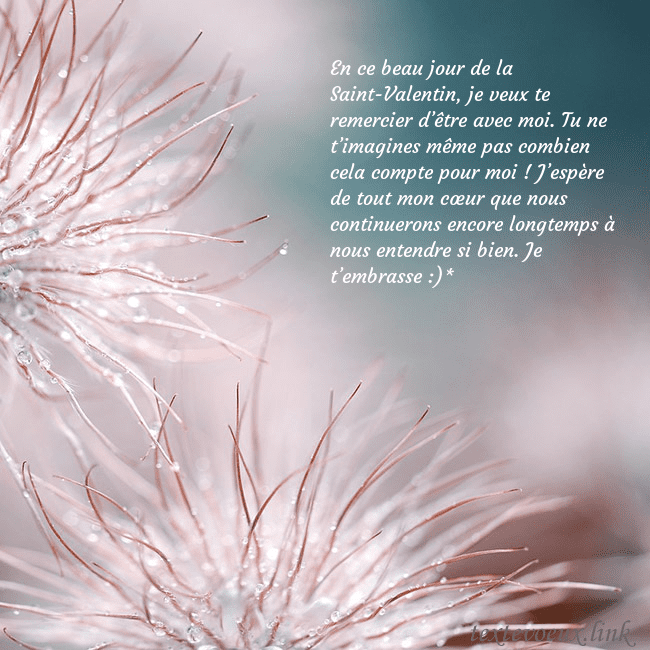 Carte postale avec des plantes duveteuses En ce beau jour de la Saint-Valentin, je veux te r Carte postale avec des plantes duveteuses