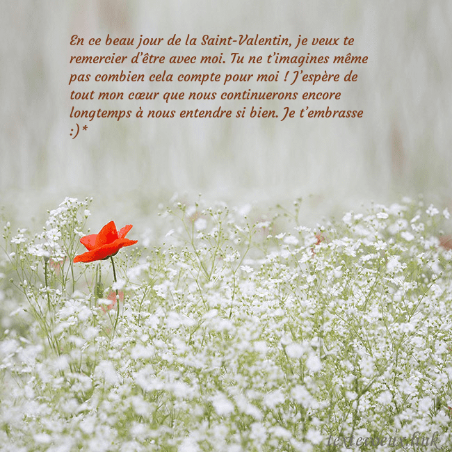 Carte électronique à fleurs blanches En ce beau jour de la Saint-Valentin, je veux te r Carte électronique à fleurs blanches