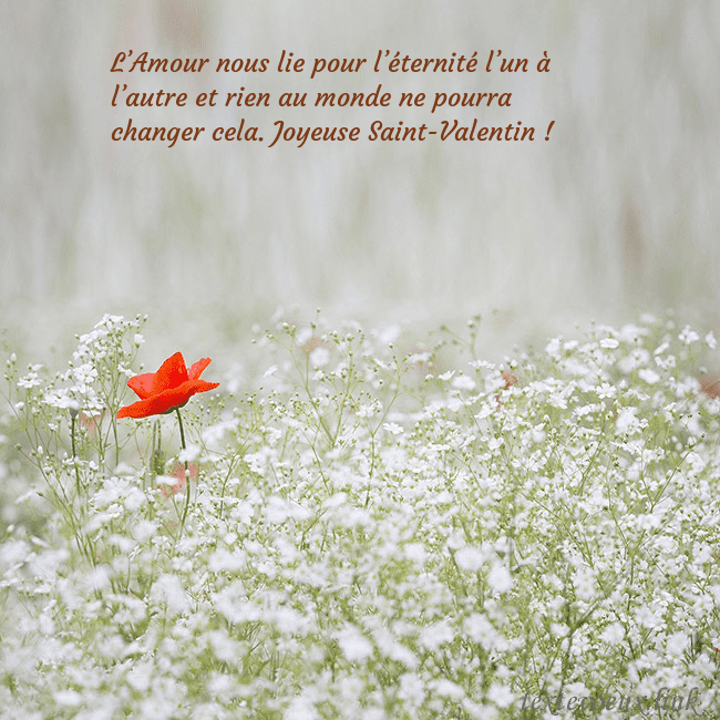 Carte électronique à fleurs blanches