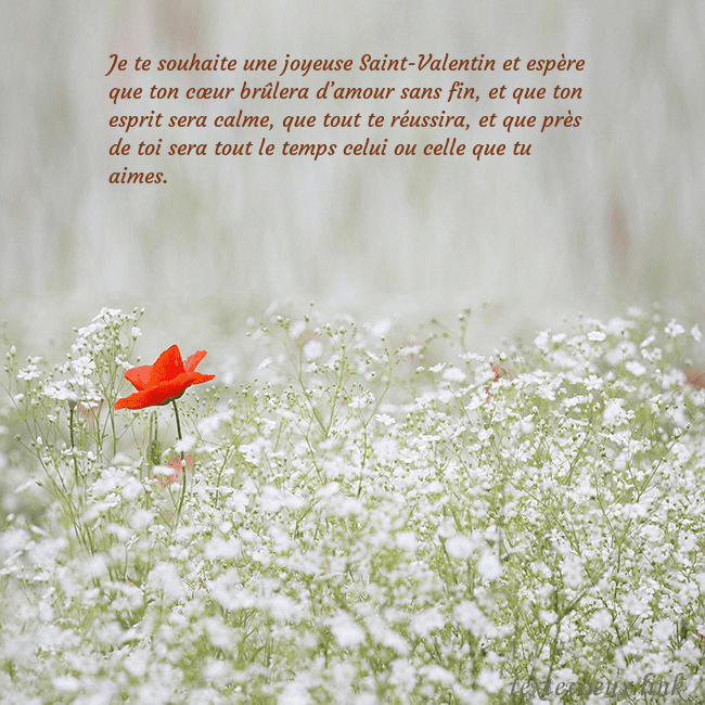 Carte électronique à fleurs blanches Je te souhaite une joyeuse Saint-Valentin et espèr Carte électronique à fleurs blanches