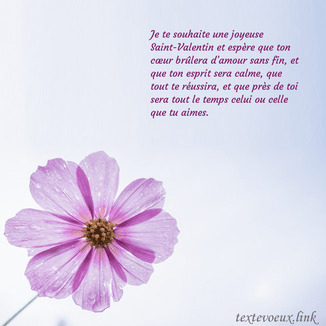 Carte électronique avec fleur violette Je te souhaite une joyeuse Saint-Valentin et espèr Carte électronique avec fleur violette