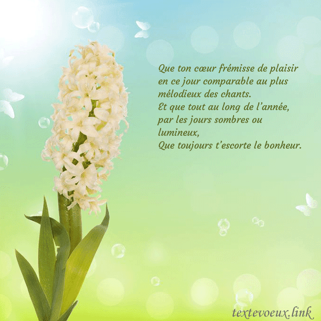 Cartes de vœux avec jacinthe