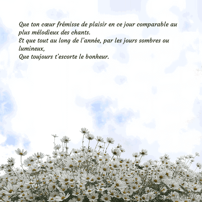 Carte de voeux avec marguerites