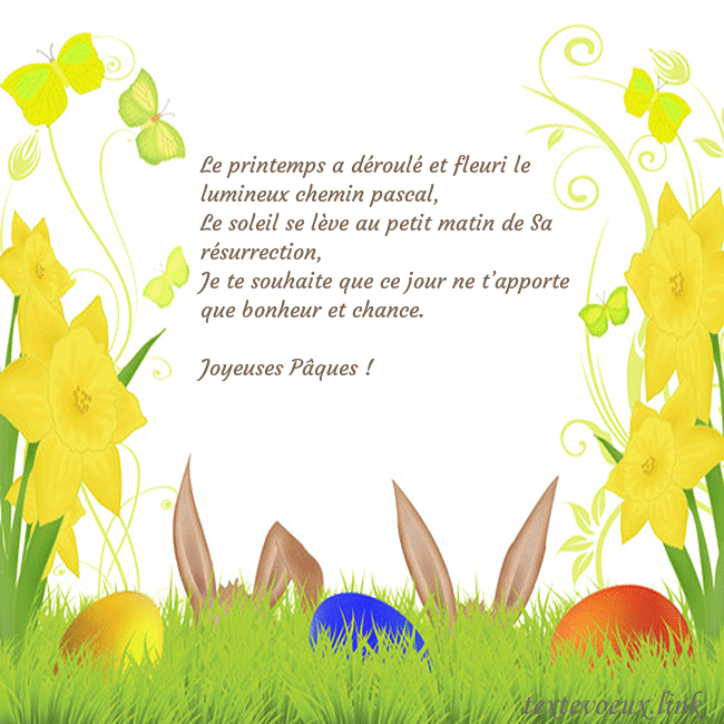 jonquilles