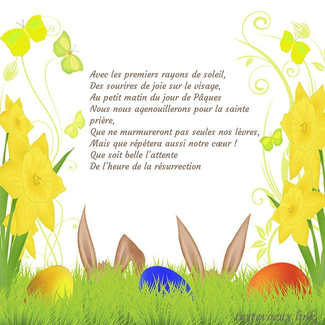 jonquilles