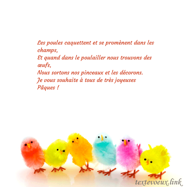 poulets colorés