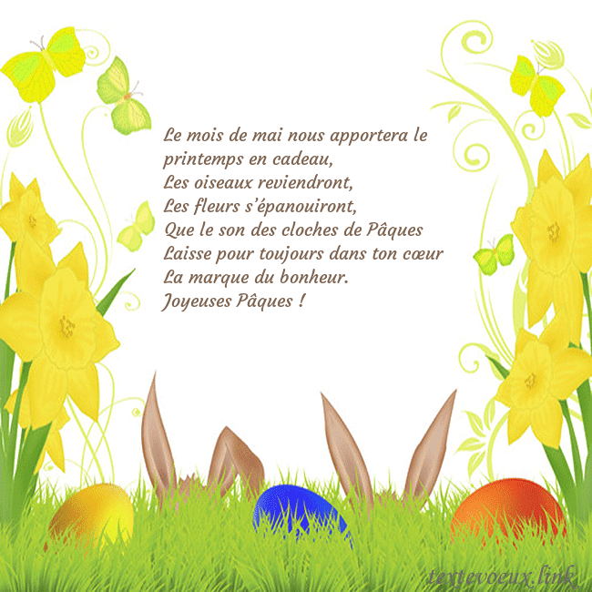 jonquilles