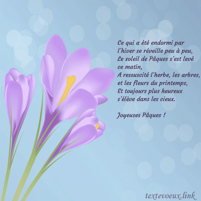 Cartes de vœux avec crocus