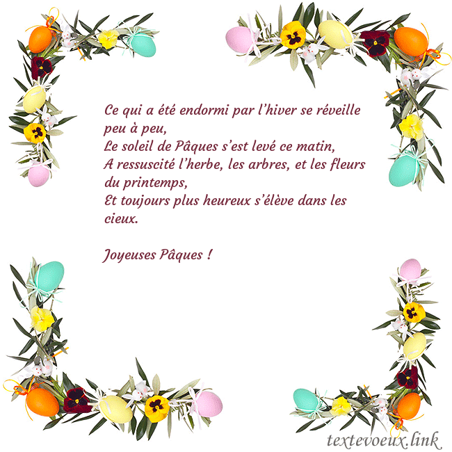 marguerites vertes