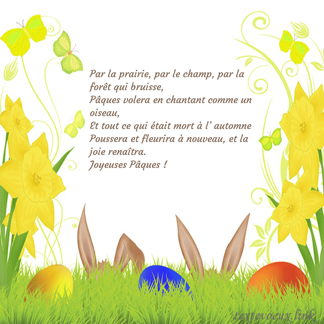 jonquilles