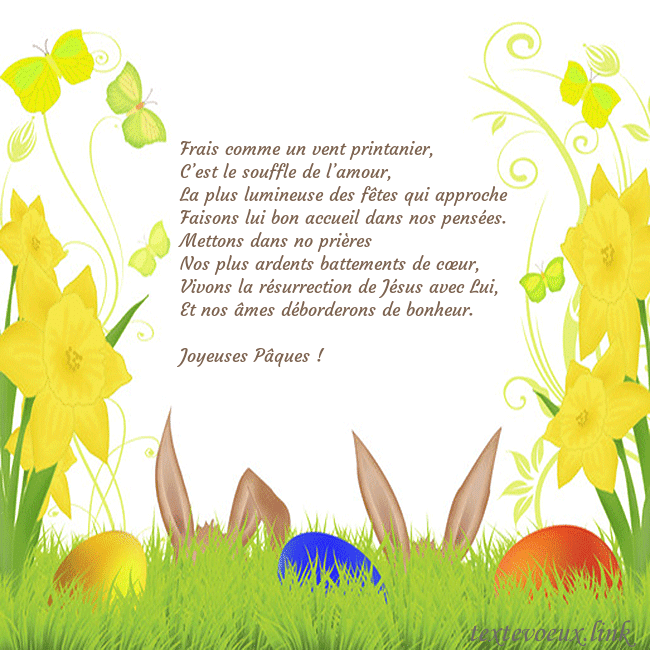jonquilles