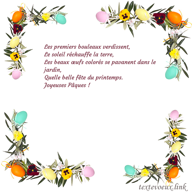 marguerites vertes