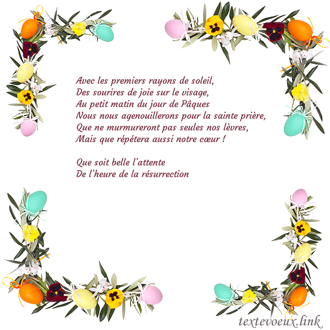 marguerites vertes
