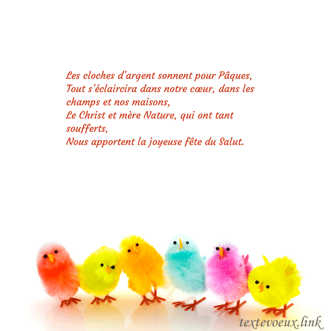 poulets colorés
