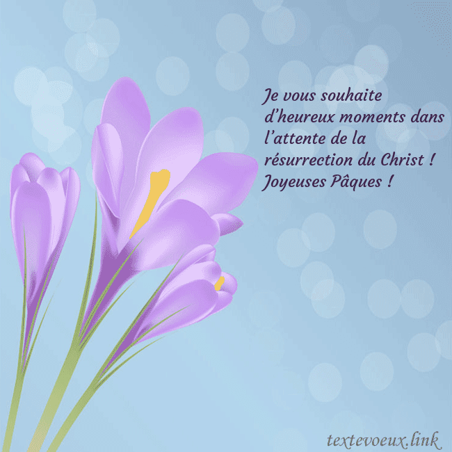 Cartes de vœux avec crocus