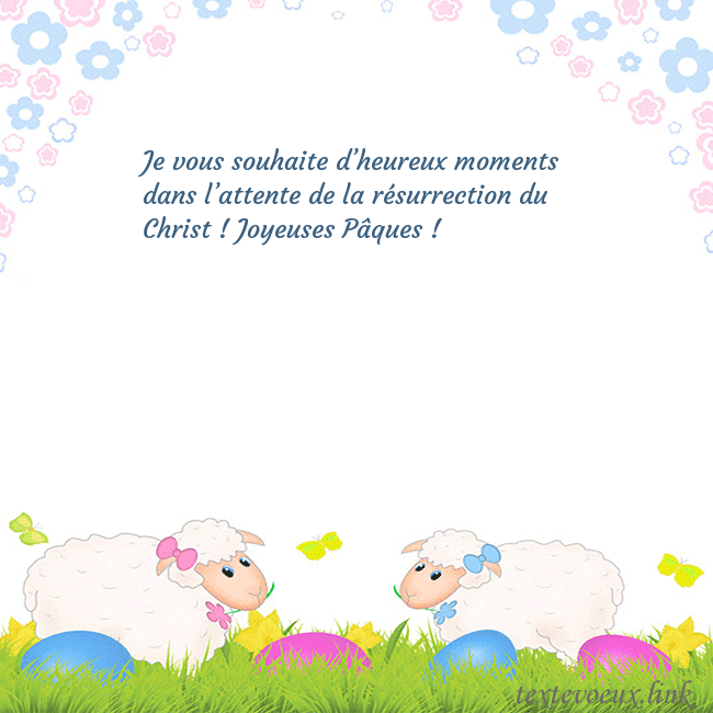 mouton