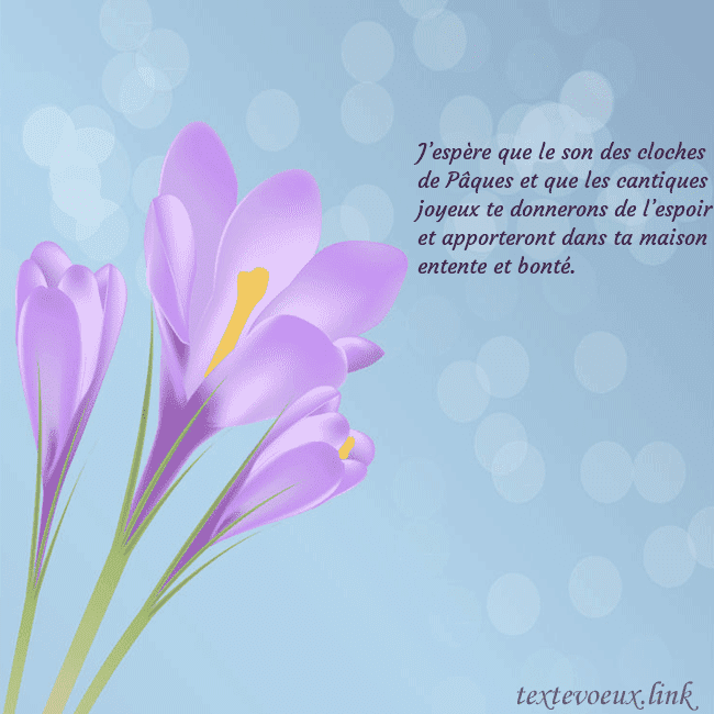 Cartes de vœux avec crocus