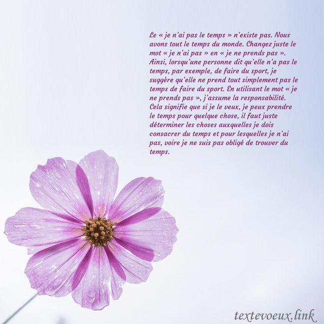 Carte électronique avec fleur violette Le « je n’ai pas le temps » n’existe pas. Nous avo Carte électronique avec fleur violette