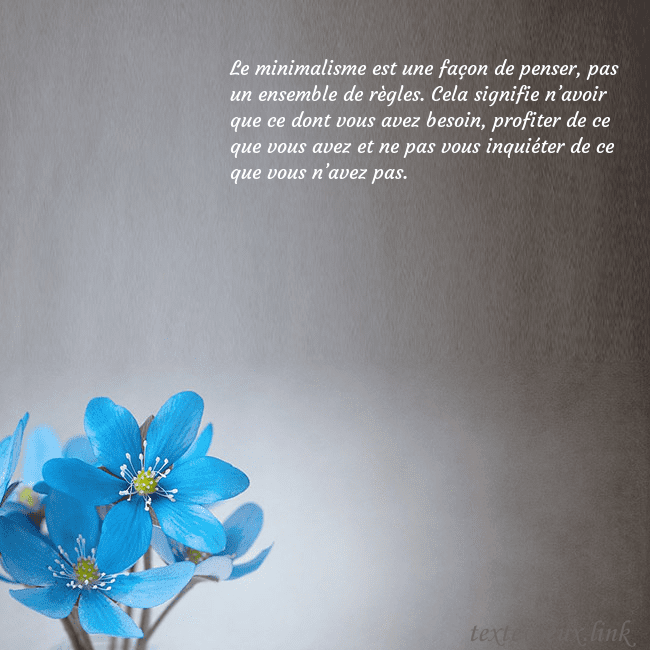 Carte postale avec violettes Le minimalisme est une façon de penser, pas un ens Carte postale avec violettes
