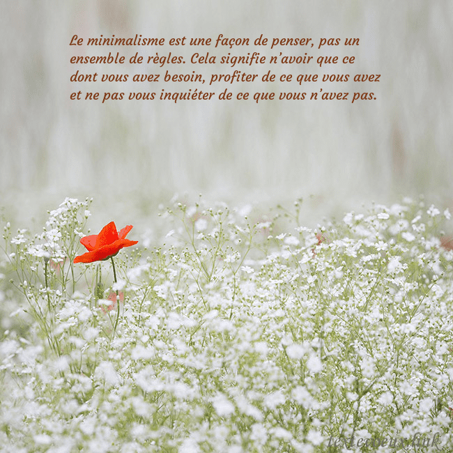 Carte électronique à fleurs blanches Le minimalisme est une façon de penser, pas un ens Carte électronique à fleurs blanches