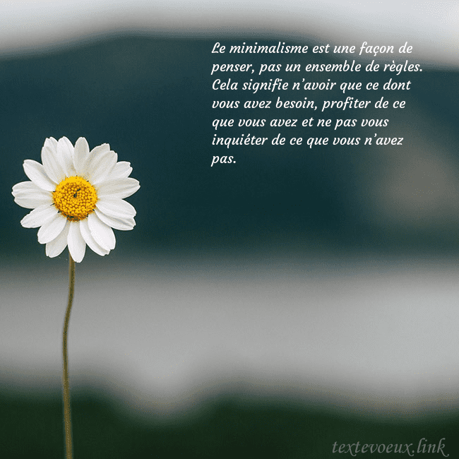 E-carte avec marguerite Le minimalisme est une façon de penser, pas un ens E-carte avec marguerite