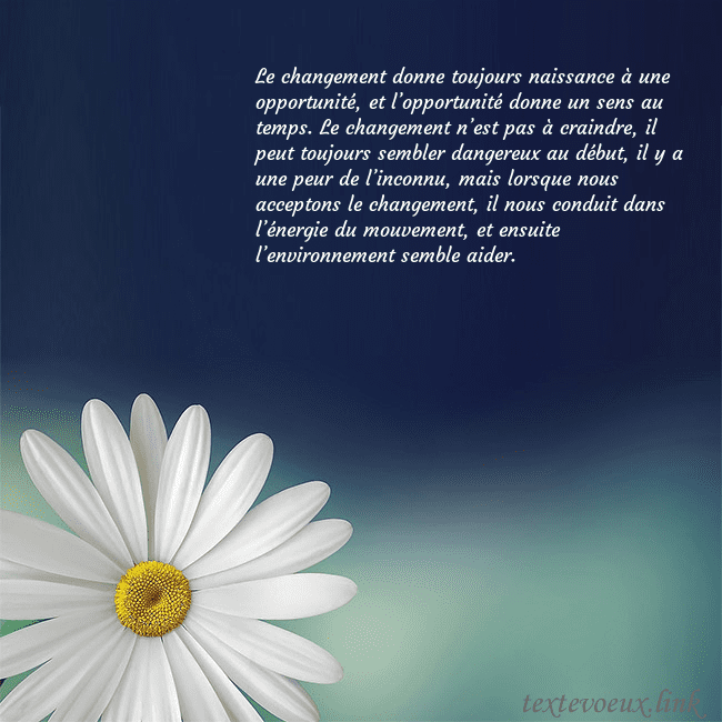 Carte postale avec une grande marguerite Le changement donne toujours naissance à une oppor Carte postale avec une grande marguerite