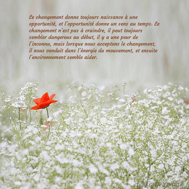 Carte électronique à fleurs blanches