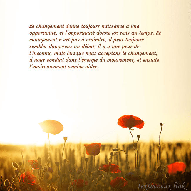Carte postale électronique avec soleil et champ de coquelicots Le changement donne toujours naissance à une oppor Carte postale électronique avec soleil et champ de coquelicots
