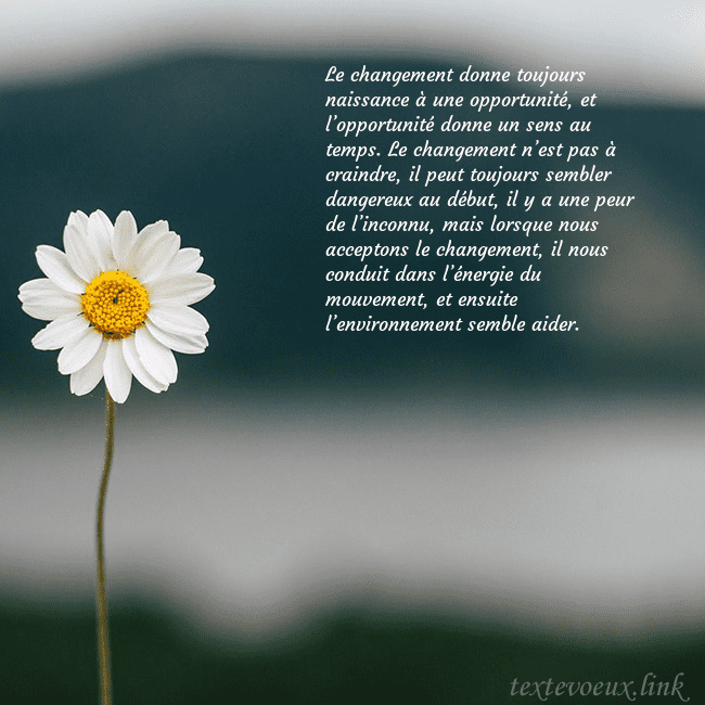 E-carte avec marguerite Le changement donne toujours naissance à une oppor E-carte avec marguerite