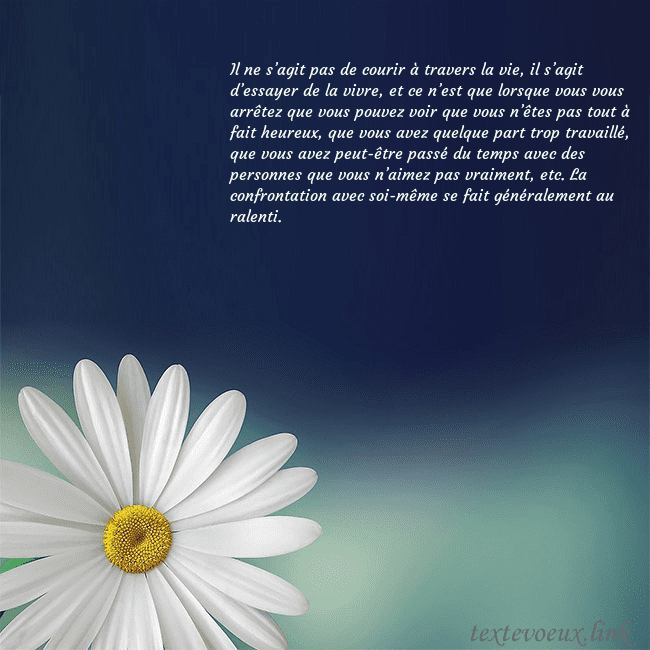 Carte postale avec une grande marguerite Il ne s’agit pas de courir à travers la vie, il s’ Carte postale avec une grande marguerite