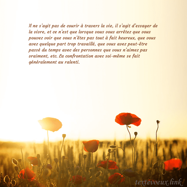 Carte postale électronique avec soleil et champ de coquelicots Il ne s’agit pas de courir à travers la vie, il s’ Carte postale électronique avec soleil et champ de coquelicots
