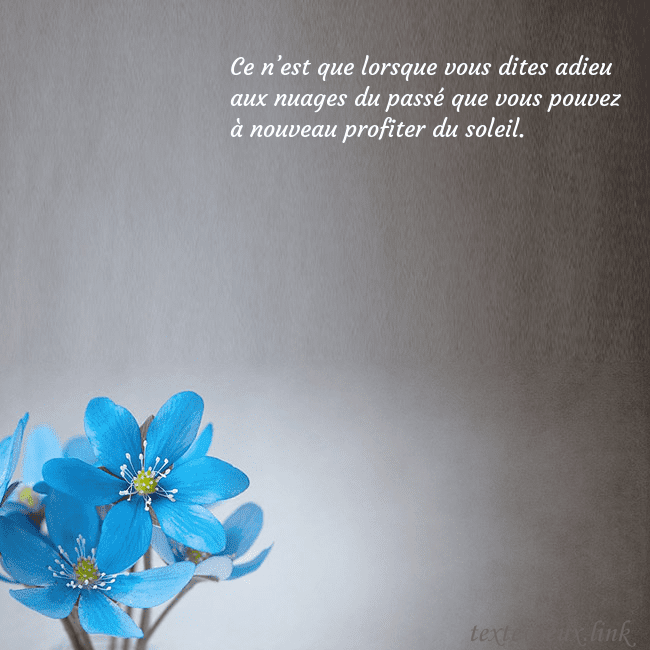 Carte postale avec violettes
