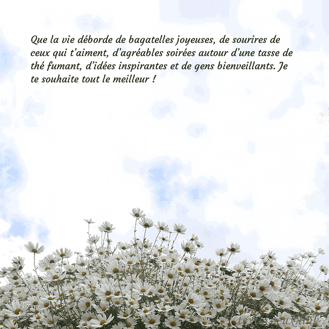 Carte de voeux avec marguerites