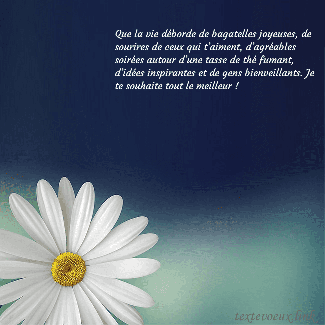 Carte postale avec une grande marguerite