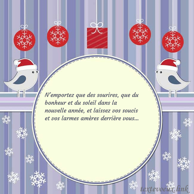 Cartes de vœux avec des oiseaux de Noël