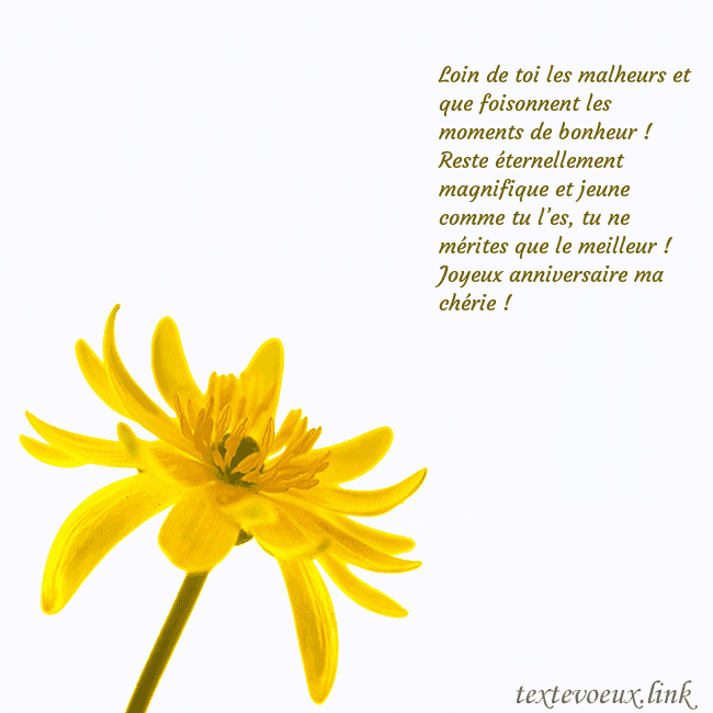 Carte de voeux avec fleur jaune