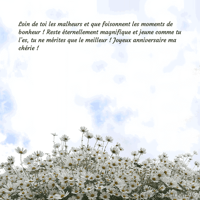 Carte de voeux avec marguerites