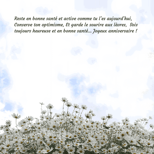 Carte de voeux avec marguerites