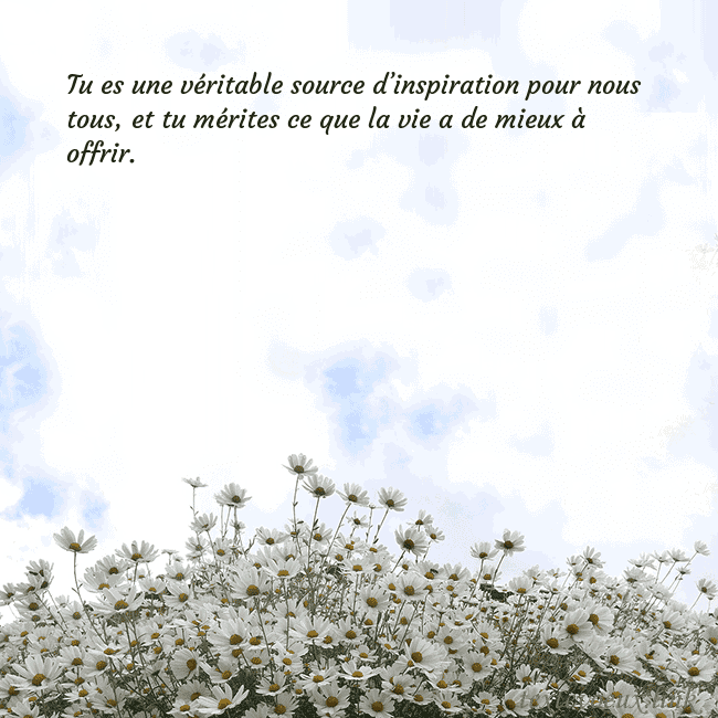 Carte de voeux avec marguerites
