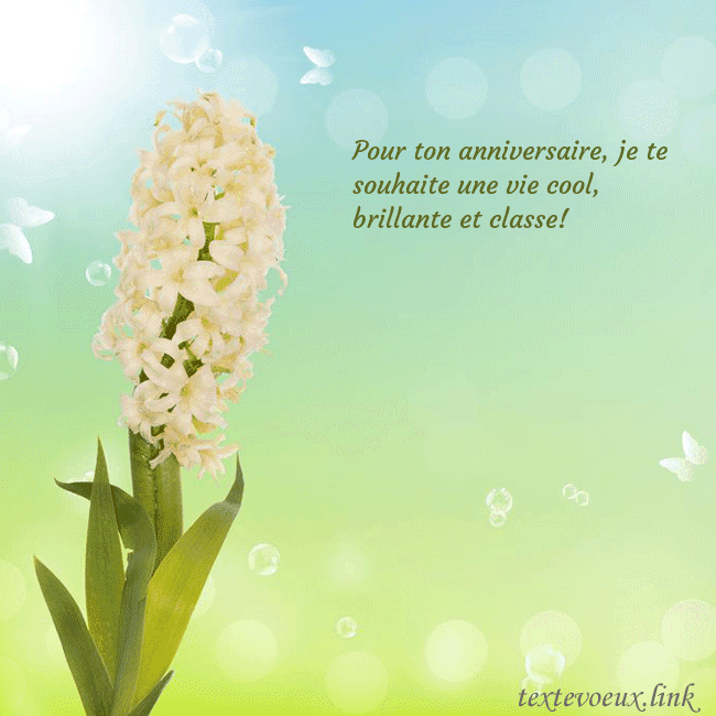 Cartes de vœux avec jacinthe