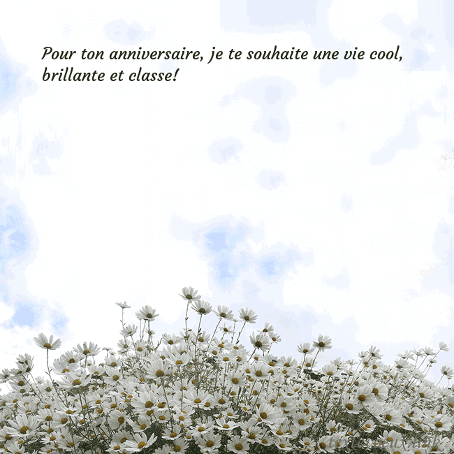 Carte de voeux avec marguerites