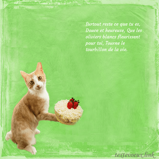 Carte d'anniversaire avec chat et gâteau