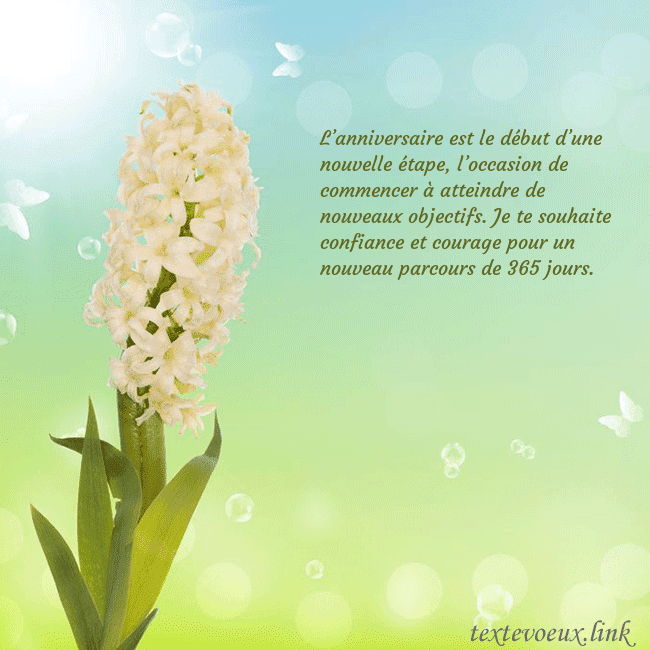 Cartes de vœux avec jacinthe