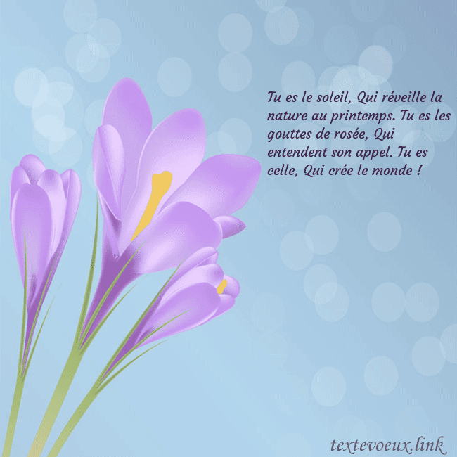 Cartes de vœux avec crocus